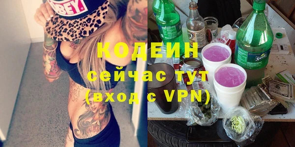 СК Кодинск