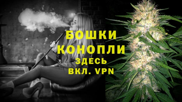 СК Кодинск