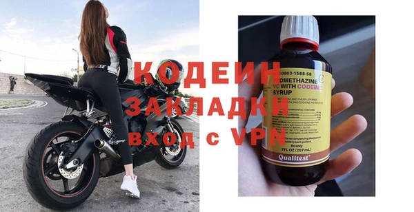 СК Кодинск