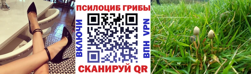 Галлюциногенные грибы Psilocybine cubensis  Купить  Зубцов 